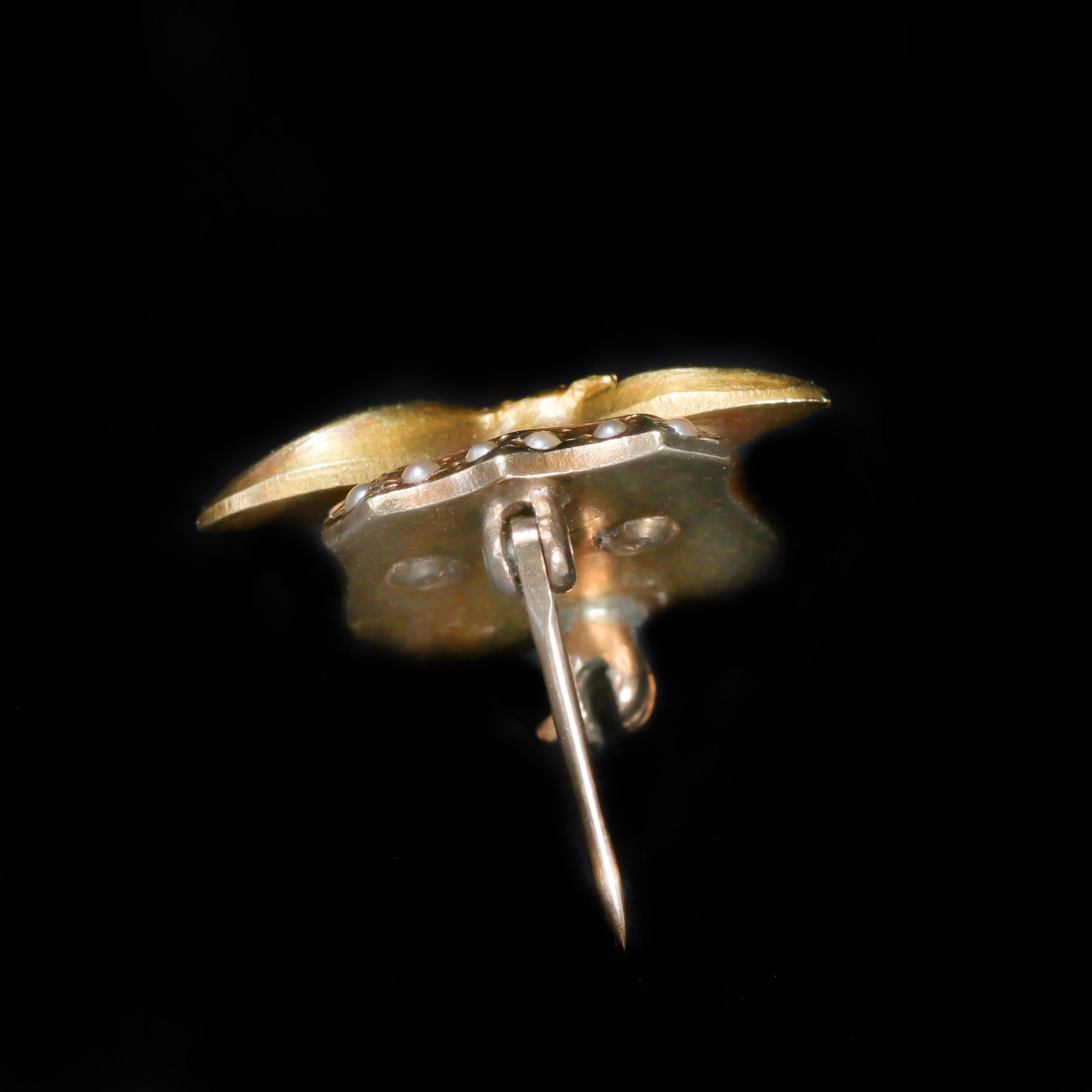 Slide image